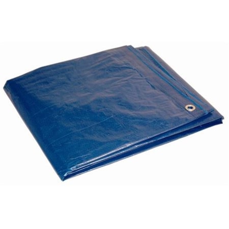 6 X 8 Ft. Dry Top Polyethylene Tarp; Blue